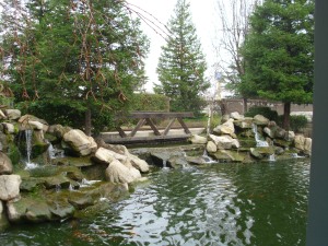 Waterfalls at the Swan Court